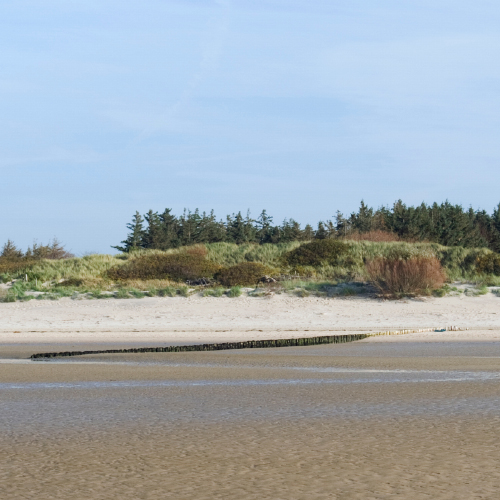 Strandlandschaft an Standort Utersum auf Föhr